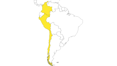 cci,international,aaal'to,aaalto, south america